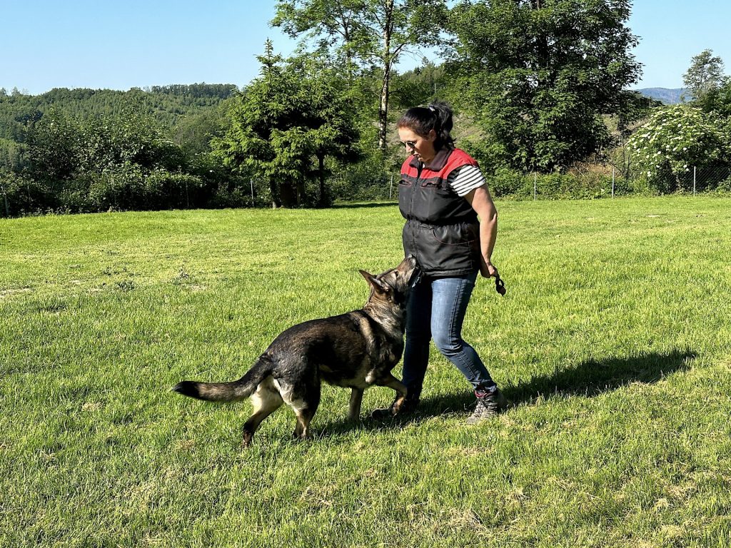 Anja Kunze-Heer ist 1. Vorsitzende und Übungsleiterin in unserem Schäferhundeverein Bergneustadt.