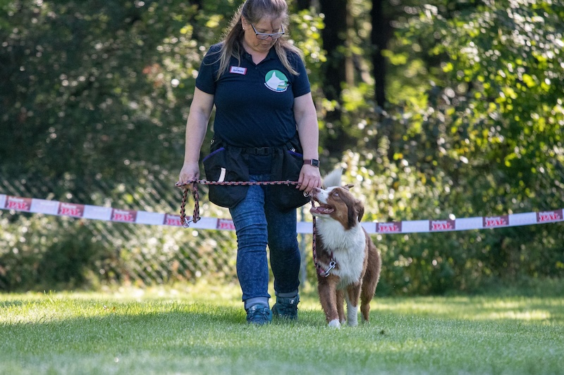 Sozialkompetenztraining stellt einen wesentlichen Bestandteil der Hundeerziehung dar. Bei einem Social Walk werden Umweltsituationen trai